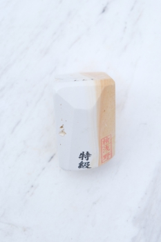 Mikawa Shiro Nagura Tenjho T501