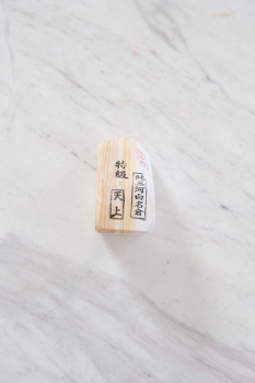 Mikawa Shiro Nagura Tenjho T602