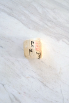 Mikawa Shiro Nagura Tenjho T901