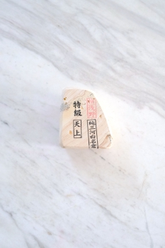 Mikawa Shiro Nagura Tenjho T903