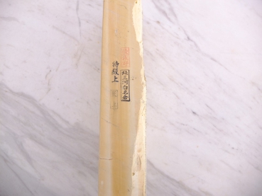 Mikawa Shiro Nagura Tenjho TT701